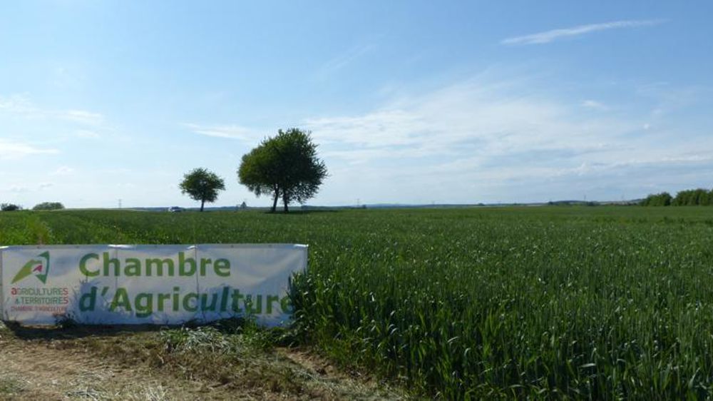 Ce sont 1 523 personnes de la société civile qui ont répondu à la consultation en ligne lancée en octobre par les chambres d’agriculture. © A. Cassigneul/GFA
